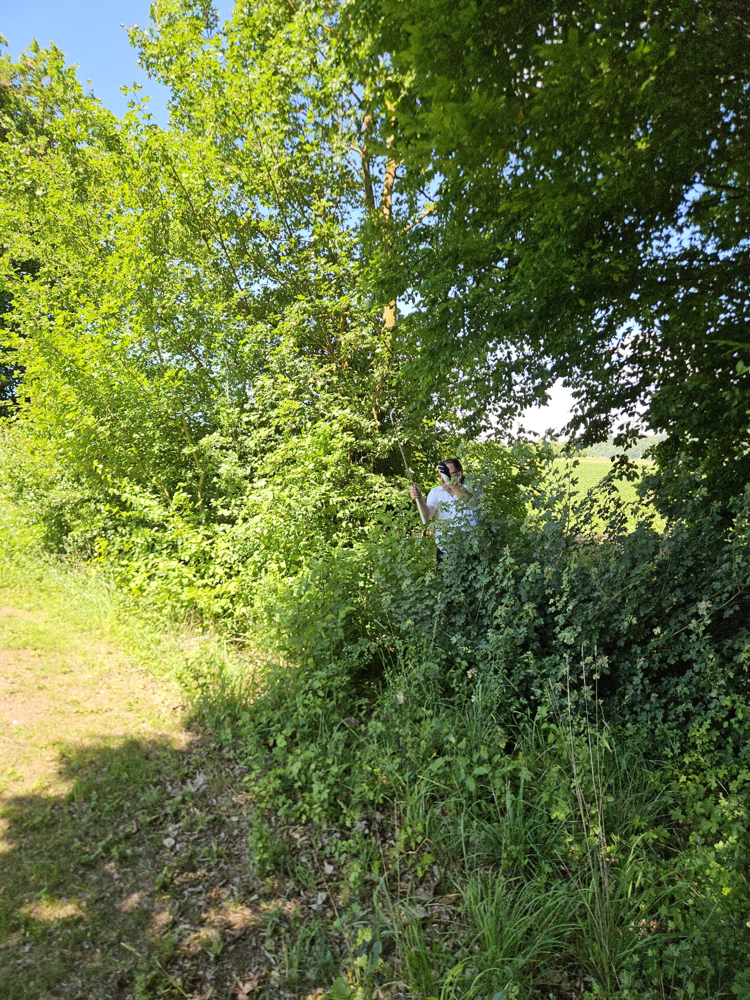 GYC Minoritenhof_24