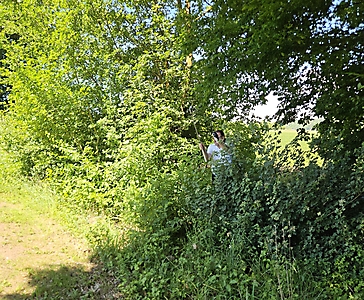 GYC Minoritenhof_24